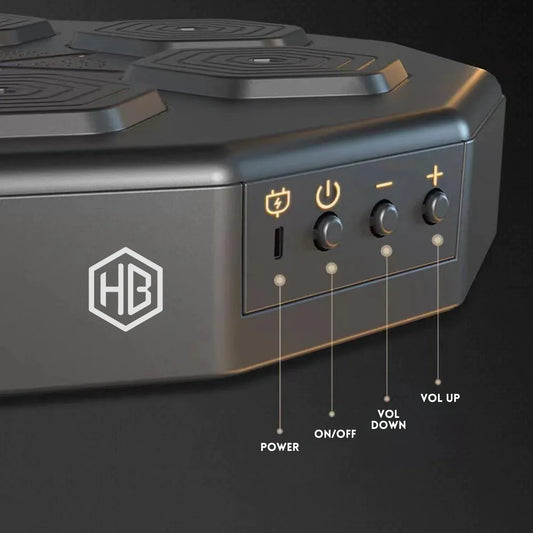 Hex Box The Ultimate Smart Music Boxing Trainer